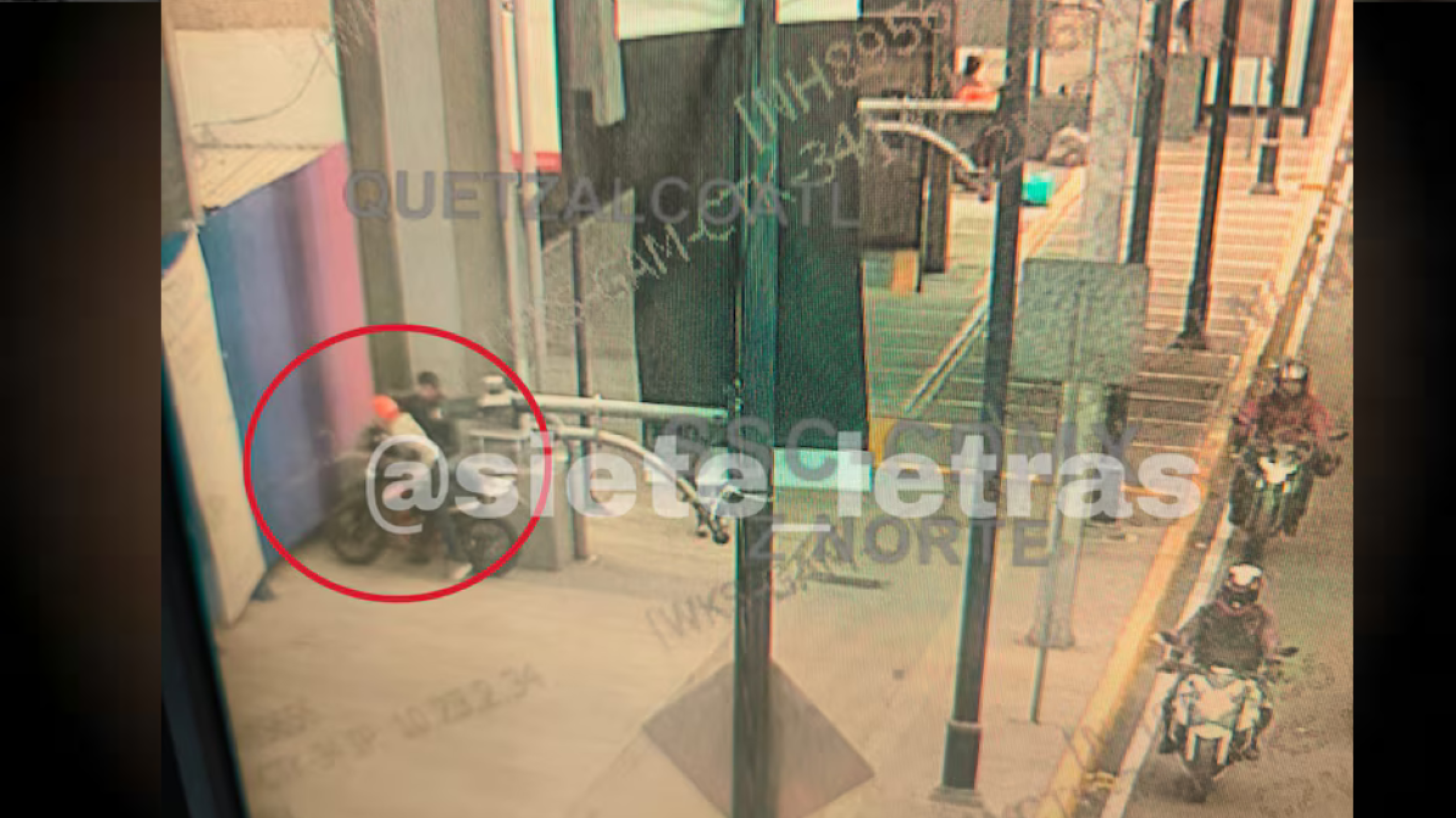 Balean al conductor de Sarah Bustani