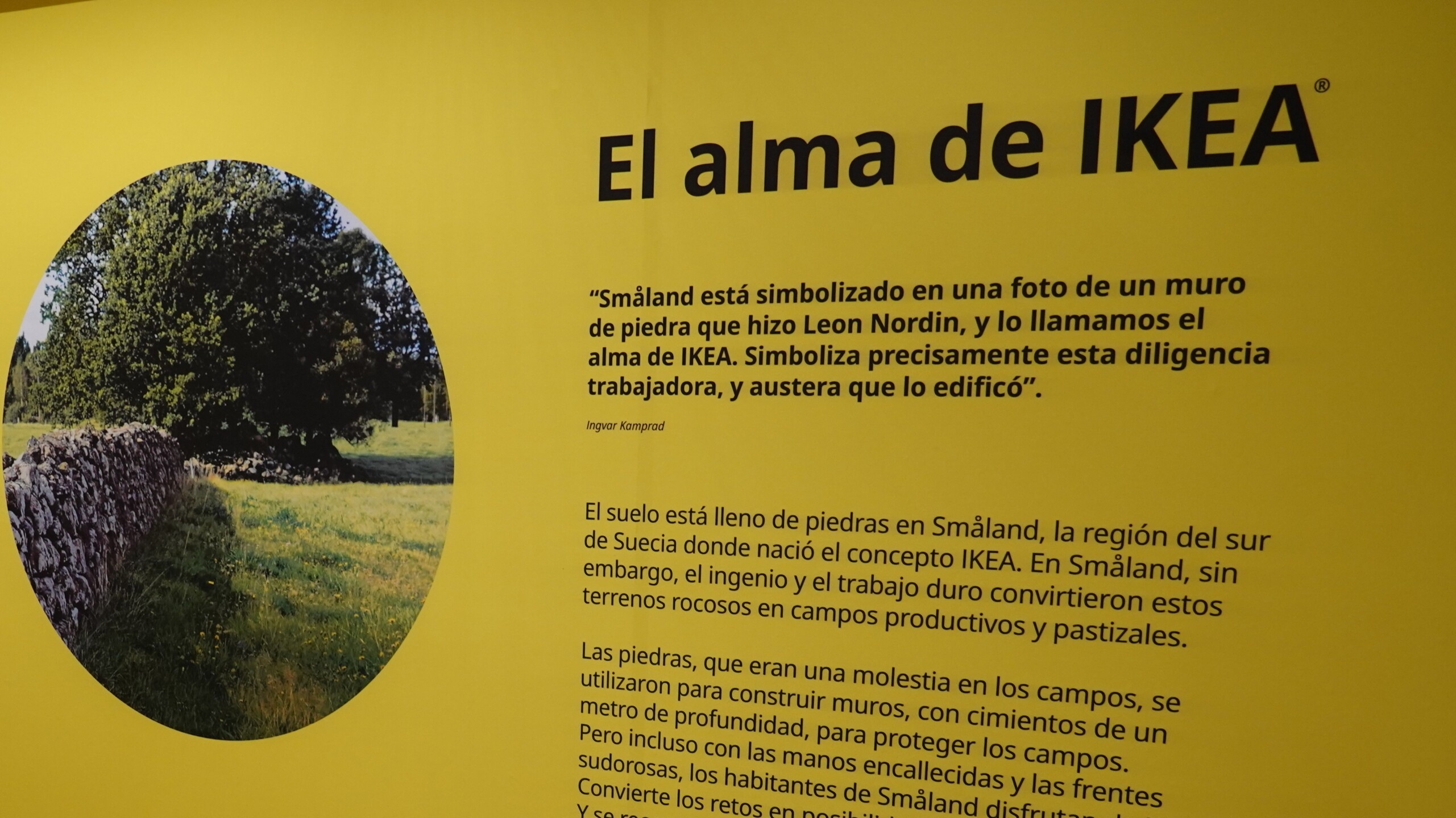 Museo Ikea en Guadalajara, Jalisco, noviembre 2024