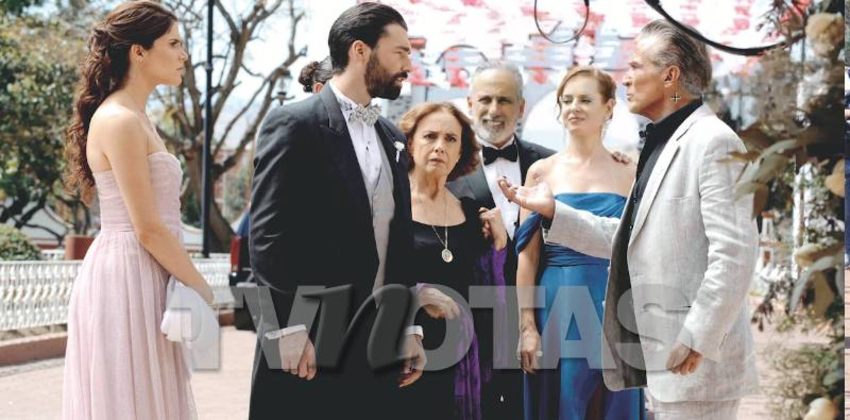 Familia Villaseñor