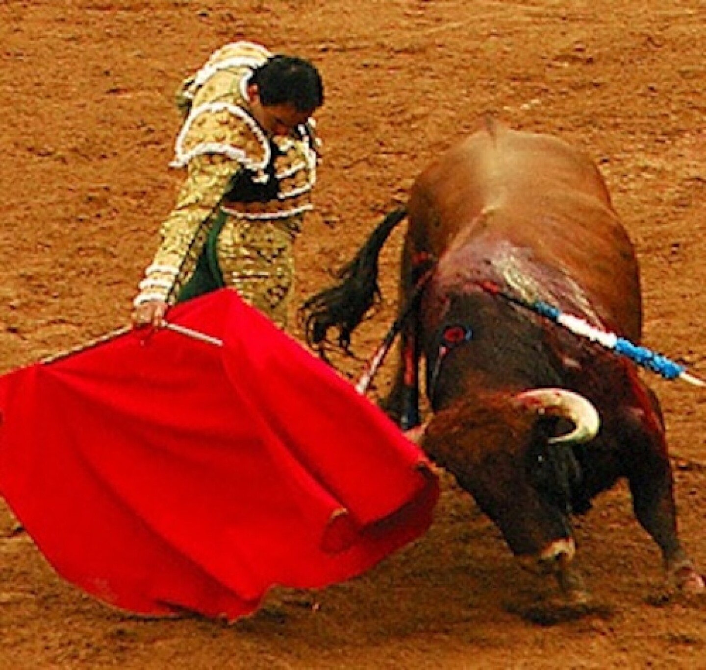 Toreros podrían ir a la cárcel por maltrato animal.