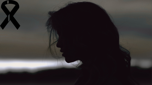 Silueta mujer y moño