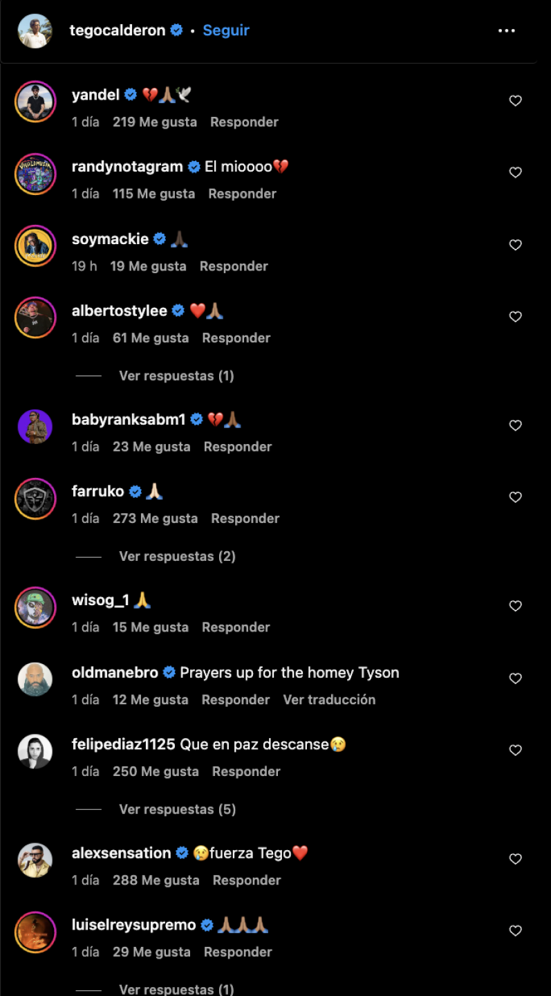 Colegas de Tego Calderon