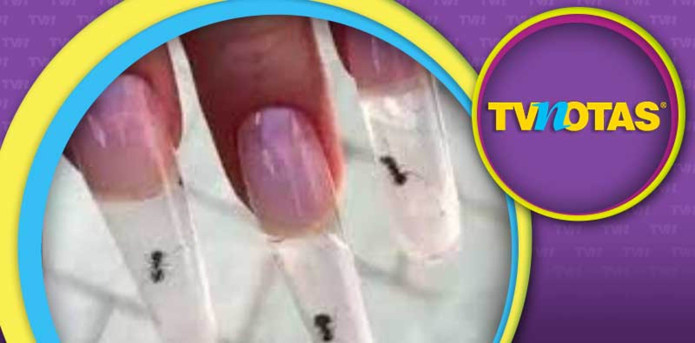Los manicuristas dicen que no son asesinos.