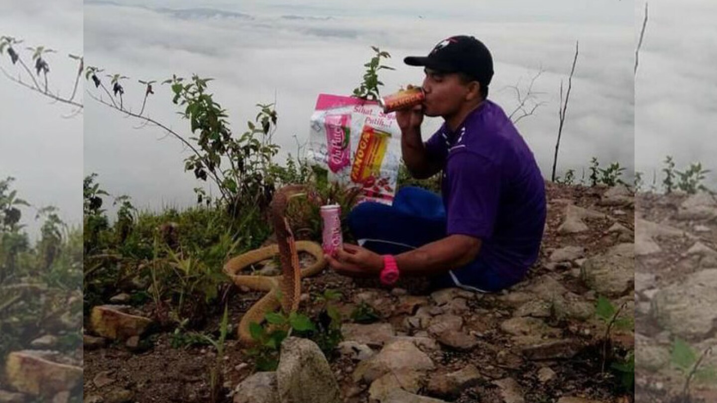 Hombre se casó con cobra.