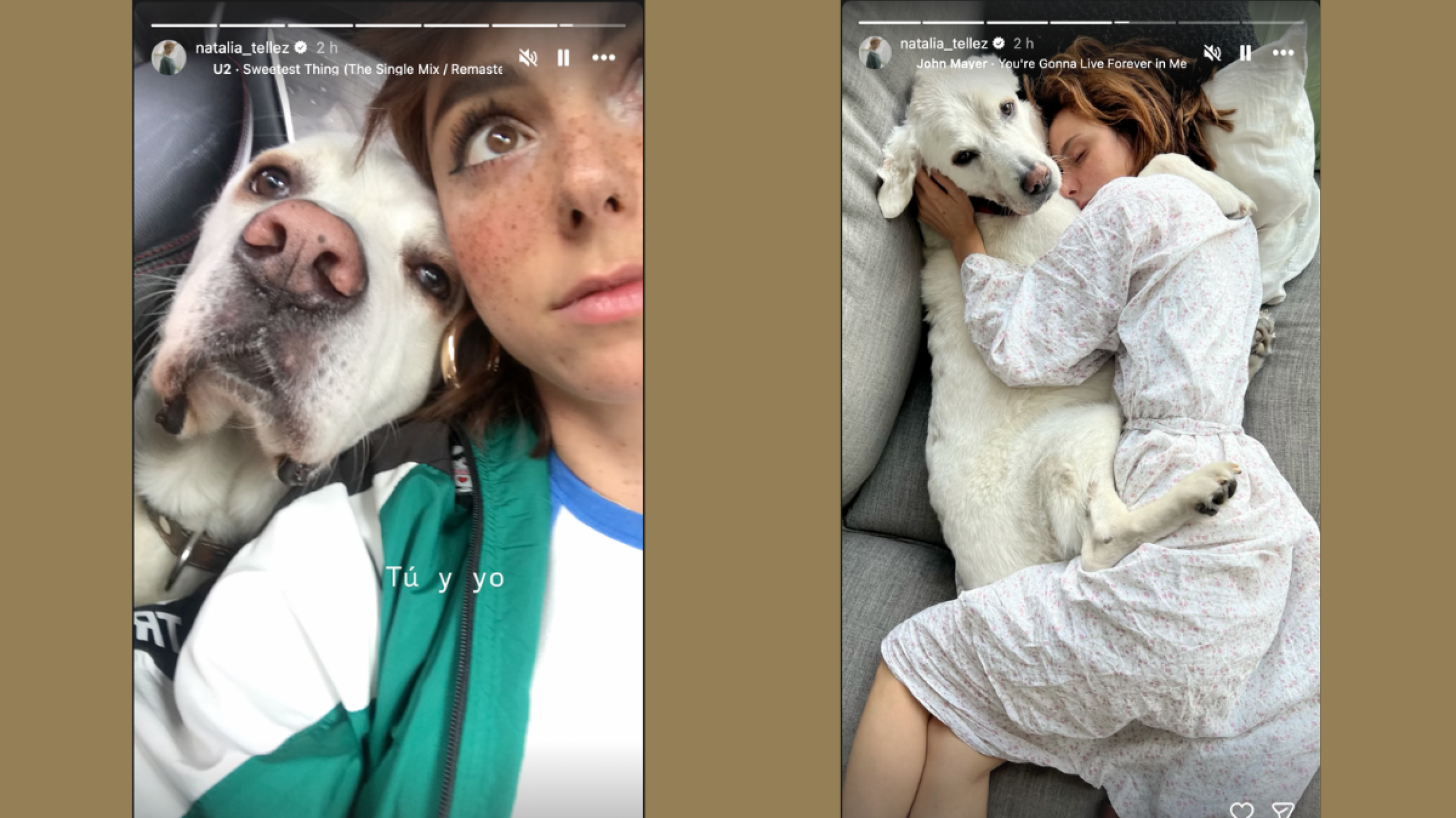 Natalia Téllez la muerte de su perrito