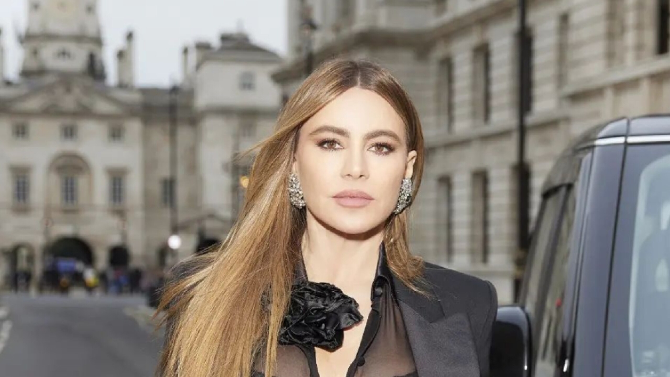 Sofía Vergara posando