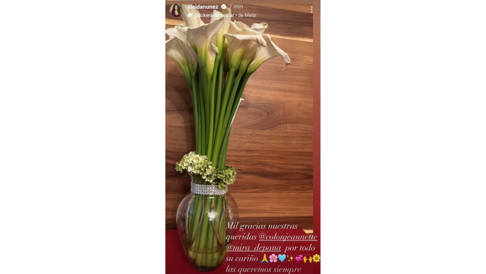 Boda de Aleida Núñez