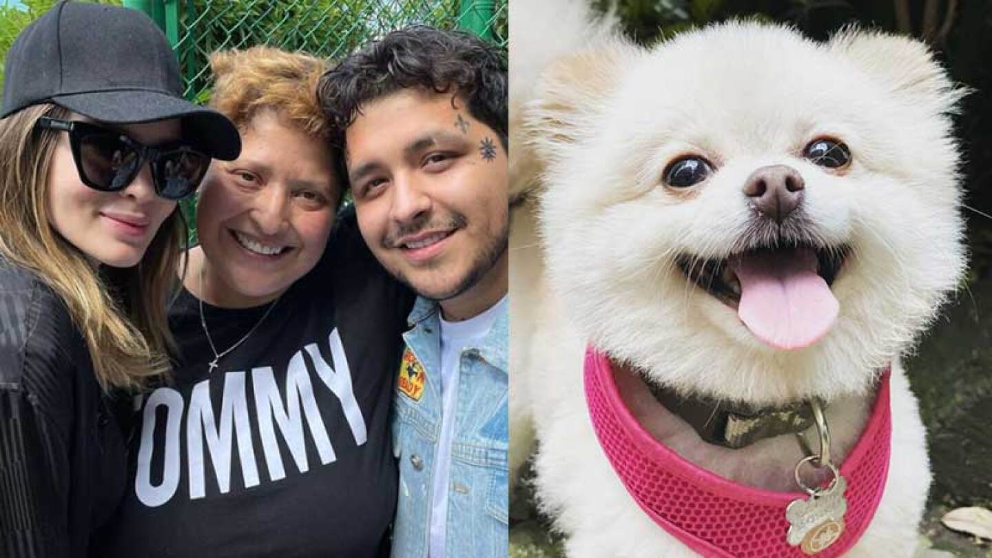 Danna Vázquez sigue pidiendo ayuda para localizar su perrita Vivi 