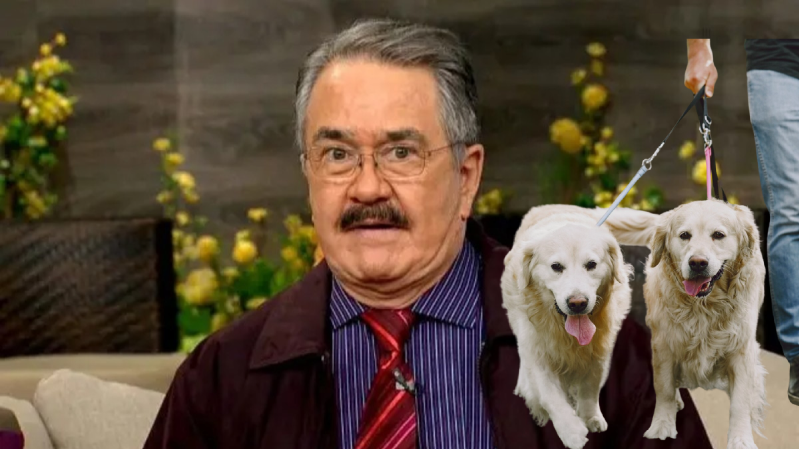 Pedro Sola
