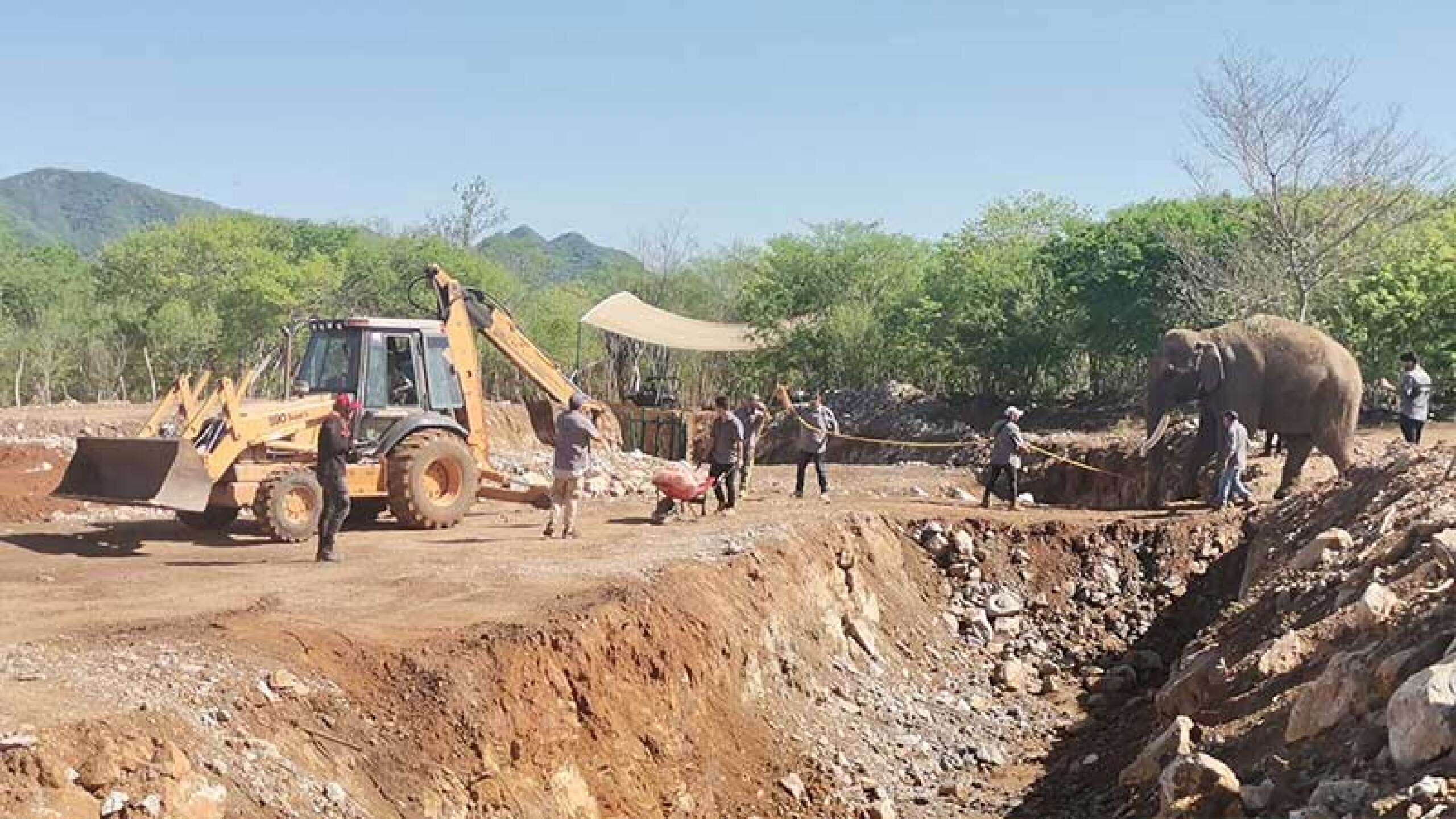 El elefante Big Boy recibikó el apoyo de Arturo Islas