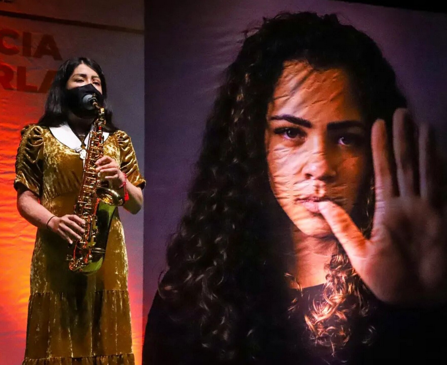 María Elena Ríos activista