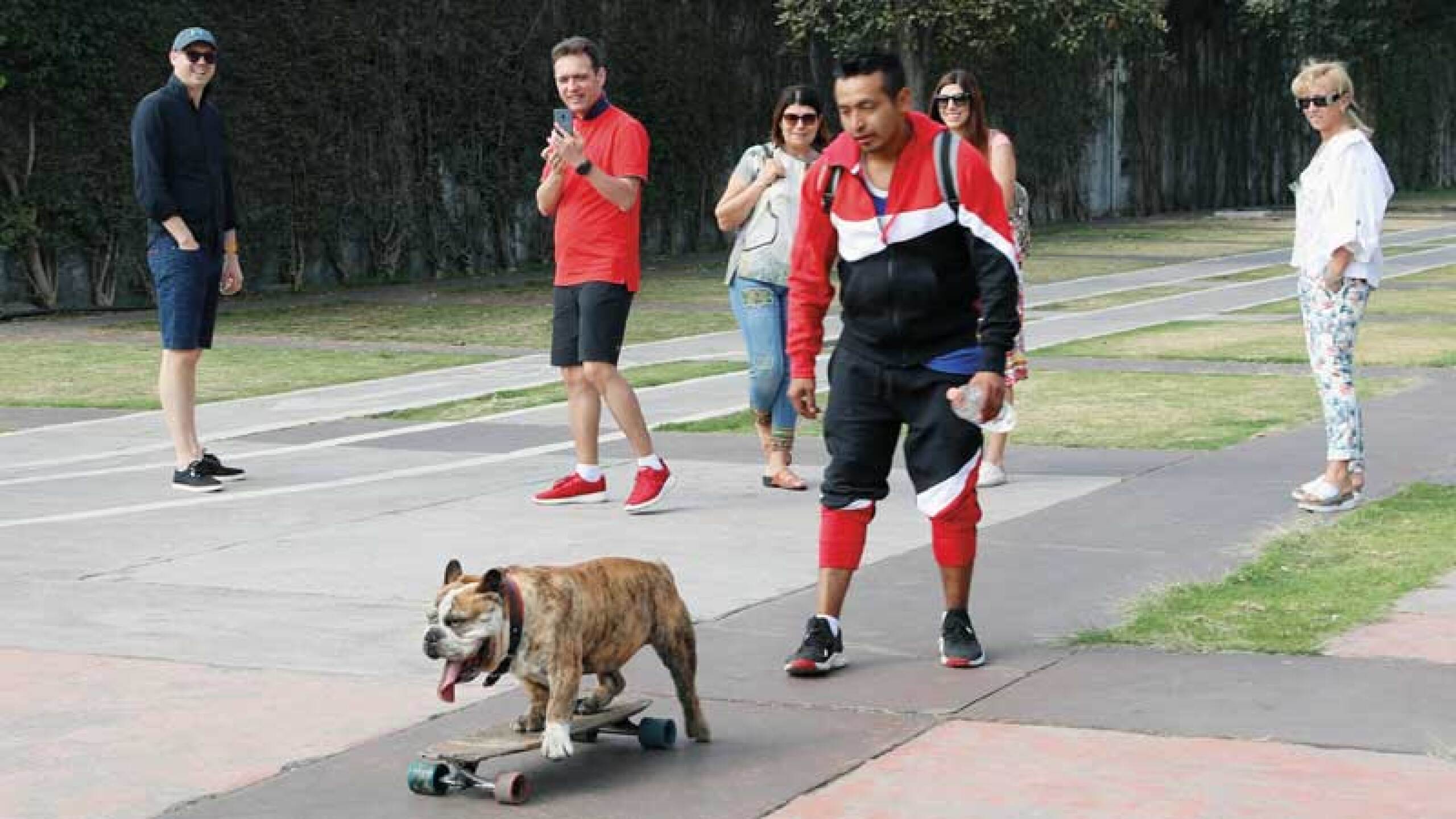 Entre sus logros están ser campeón de atletismo canino de Ciudad Universitaria, romper un Récord Guinness y también ha abanderado causas sociales.