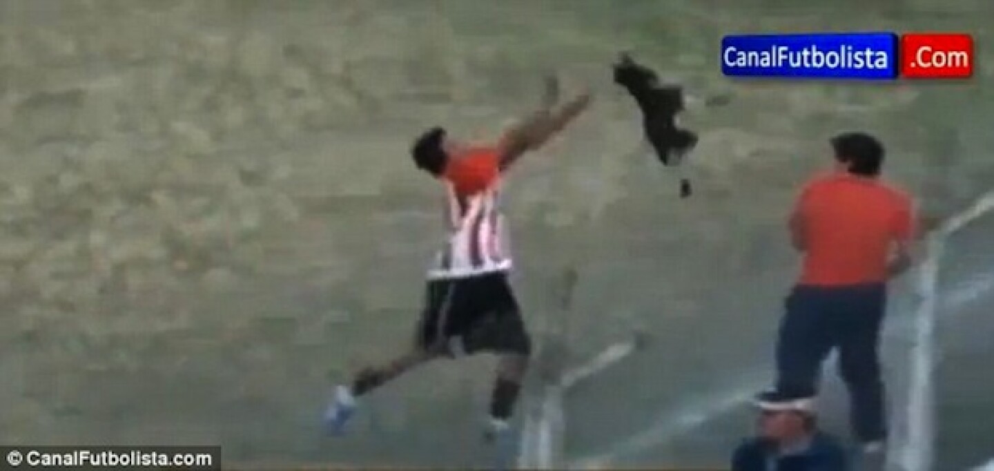 José Jiménez tomó al perro por el cuello y lo lanzó sin piedad.