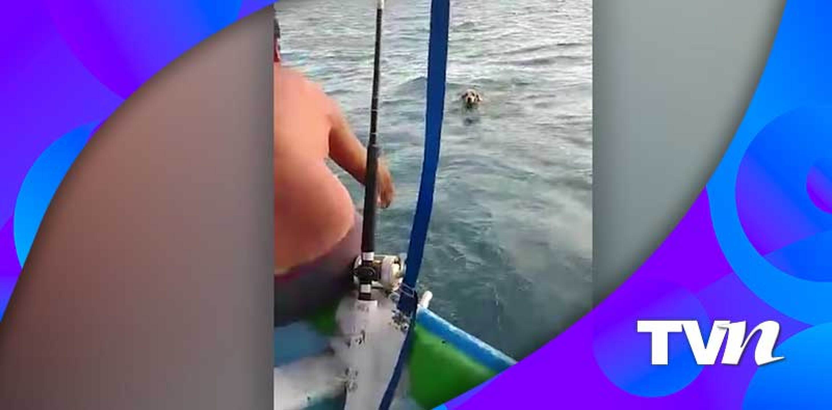 Captura de pantalla de YT