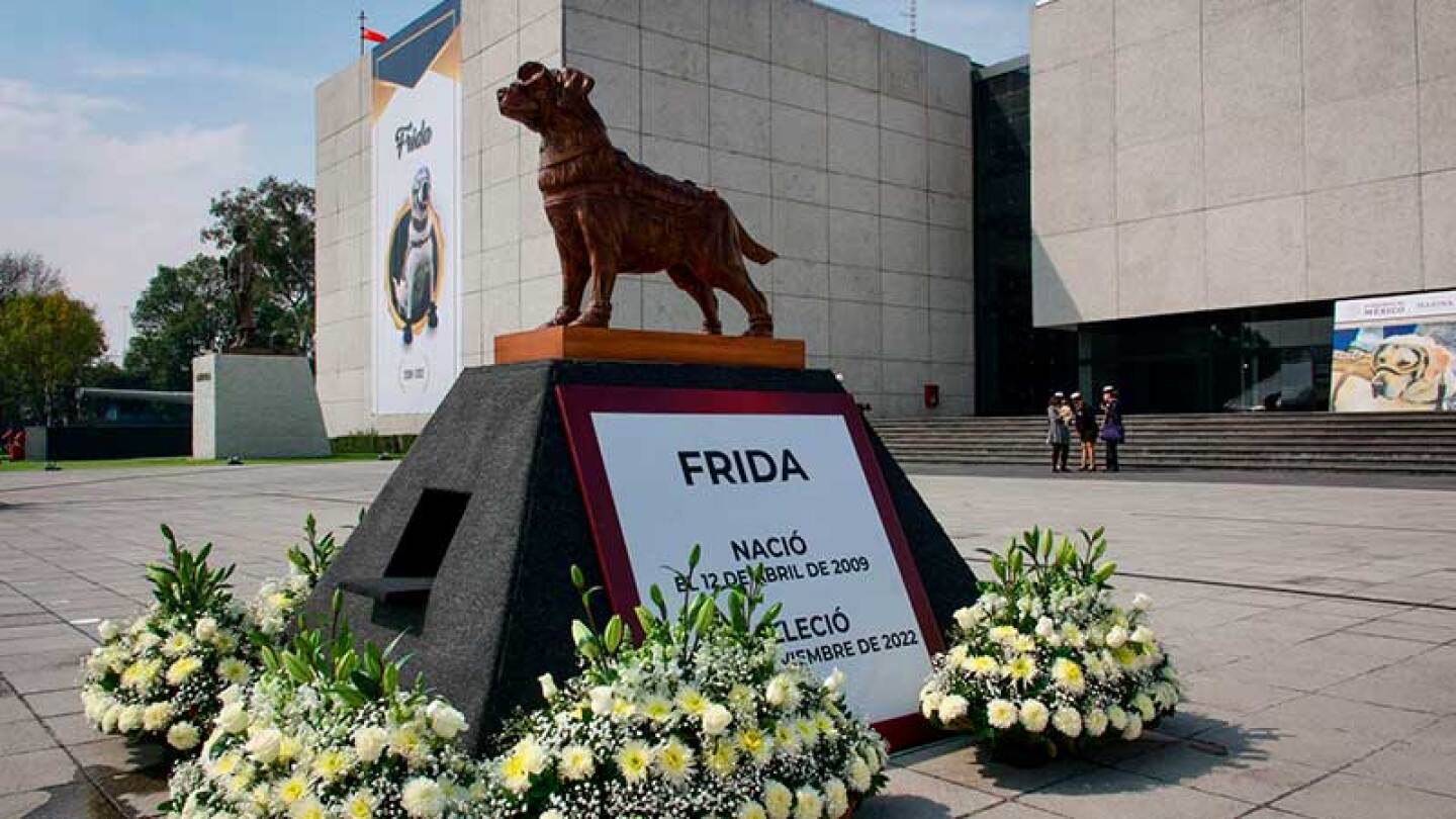 Con honores dan el último a adiós a Frida, la perrita rescatista: “Nos vemos, gordita”