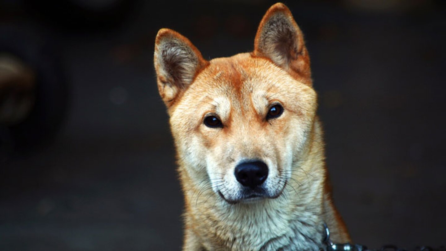 Los olvidan en su regreso a casa.