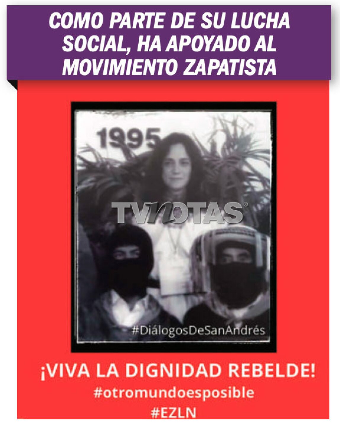 Ofelia Medina lleva alimentos y productos de higiene a las comunidades chiapanecas