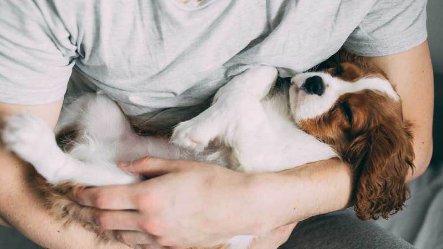 Esta mujer lamentó lo que vivió hace unos días.