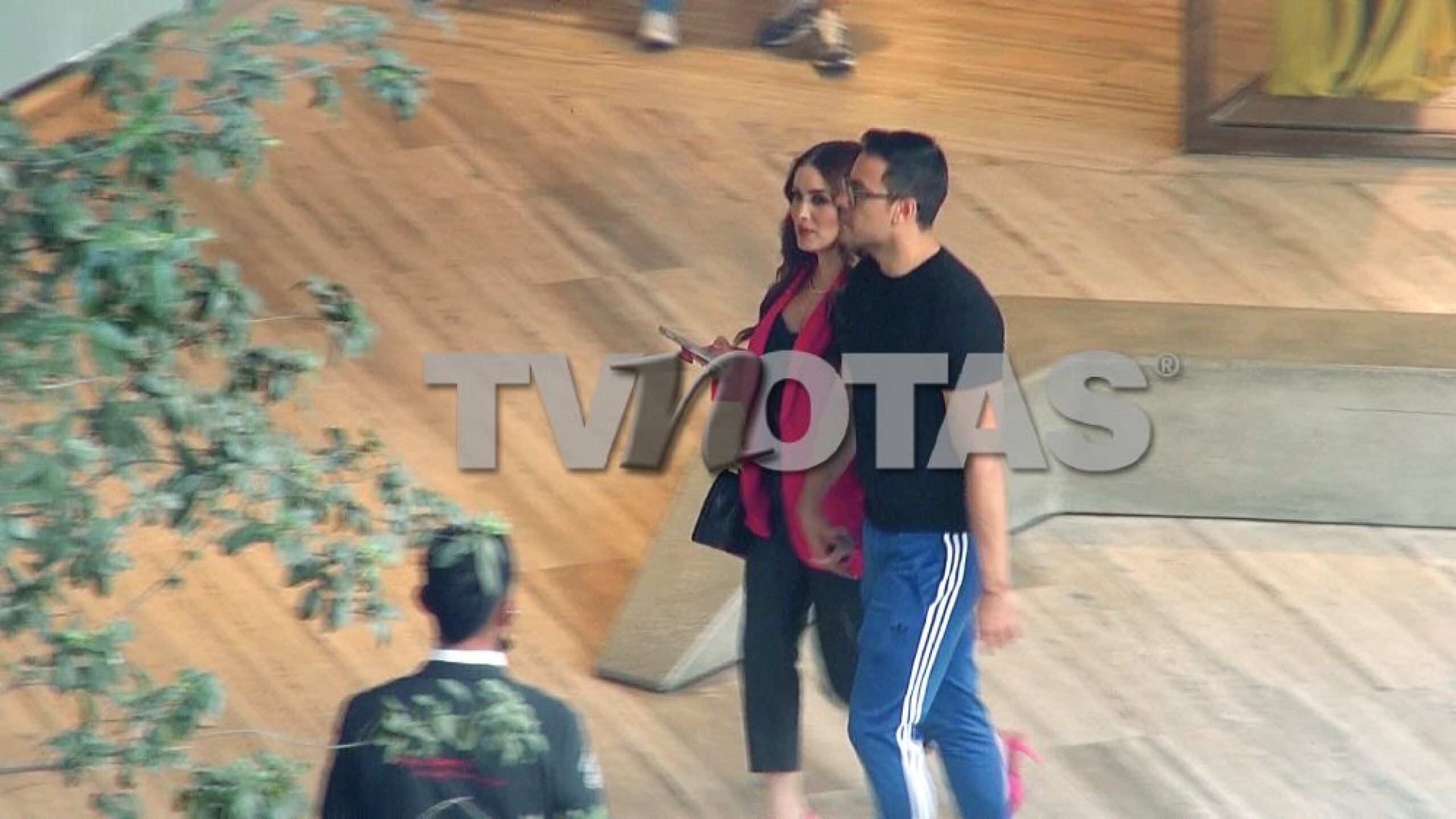 Captamos a Carlos Rivera y Cynthia Rodríguez muy felices; ¡a ella ya se le nota su pancita!