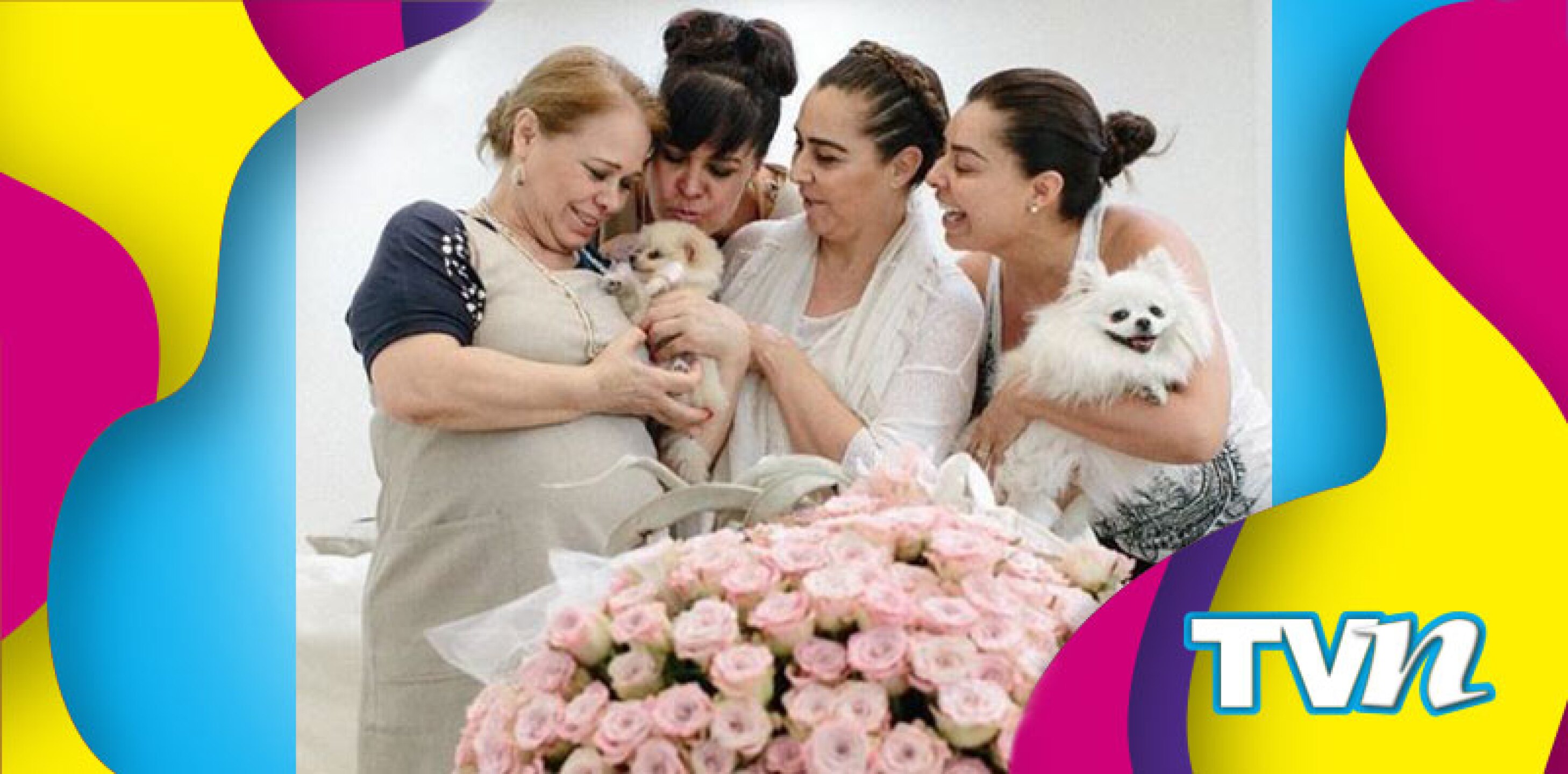 La actriz hizo todo conforme a la ley.