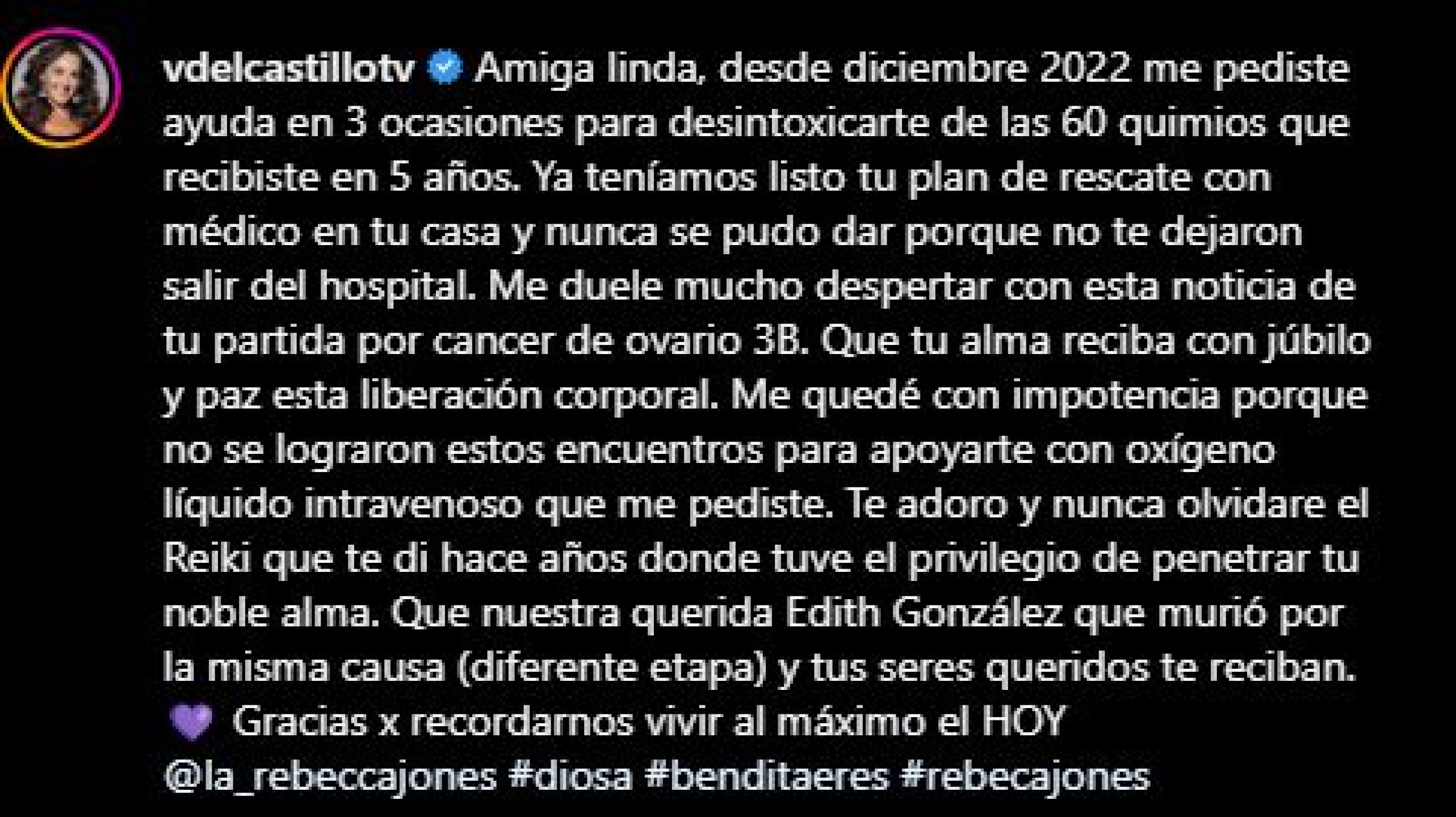 Verónica del Castillo sale en defensa de su excuñado, Ari Telch tras polémica foto con Rebecca Jones