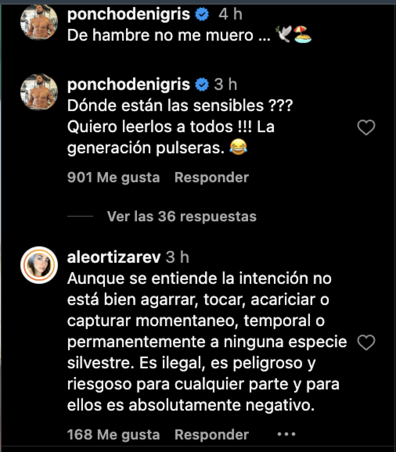 Una vez mas Poncho de Nigris vuelve a estar en la mira de todos. Este vez por creer que seria divertido jugar con una gaviota.
