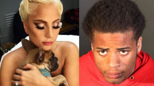Ratero de las mascotas de Lady Gaga recibe 21 años de prisión