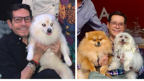 Juan José Origel Pepillo con sus perritos