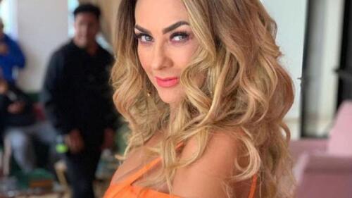aracely arambula tvnotas