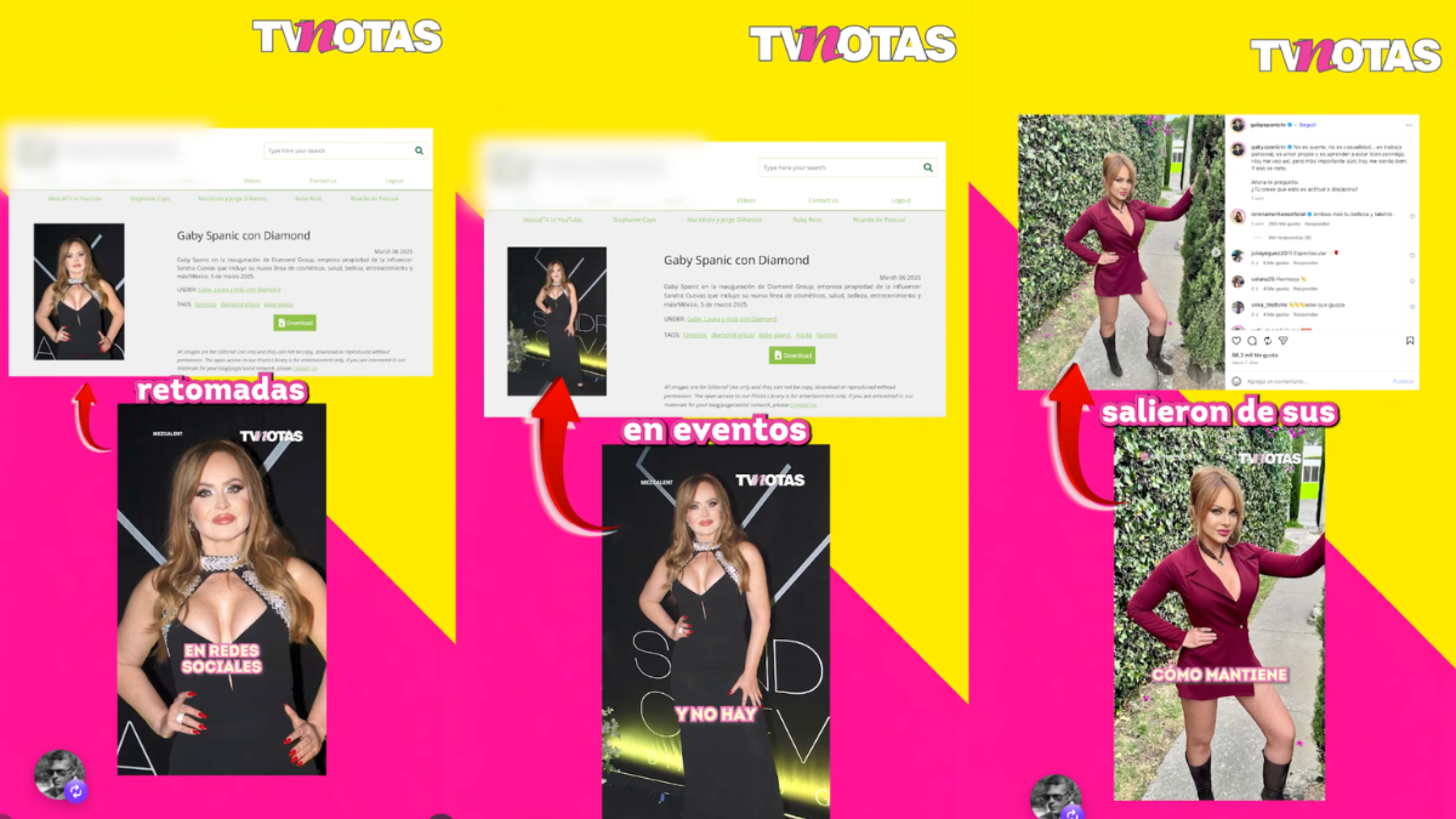 Gaby Spanic VS TVNotas