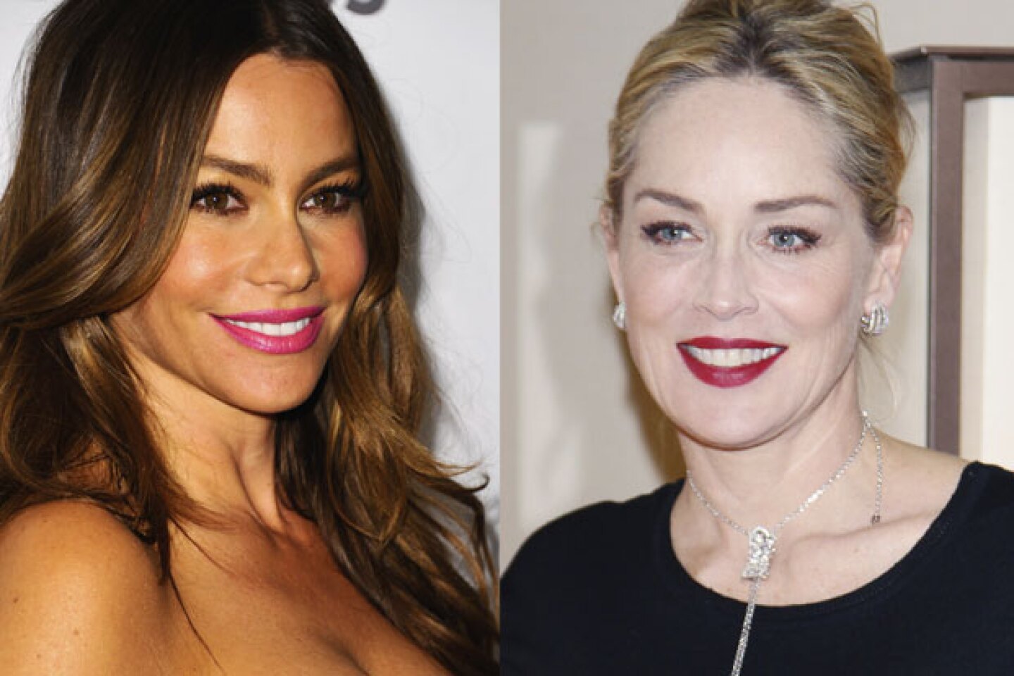 Sofía Vergara y Sharon Stone interpretarán a dos amantes.
