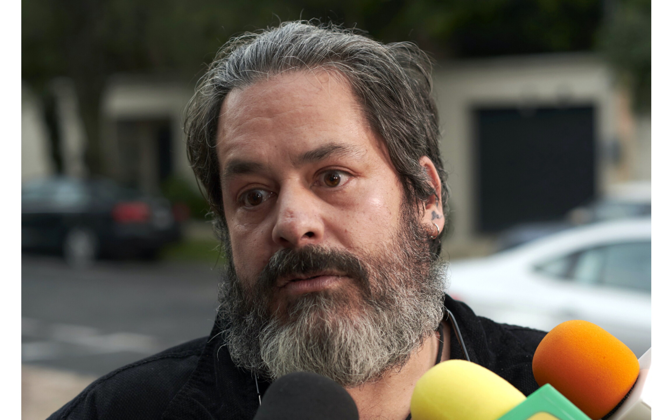 Pato Levy