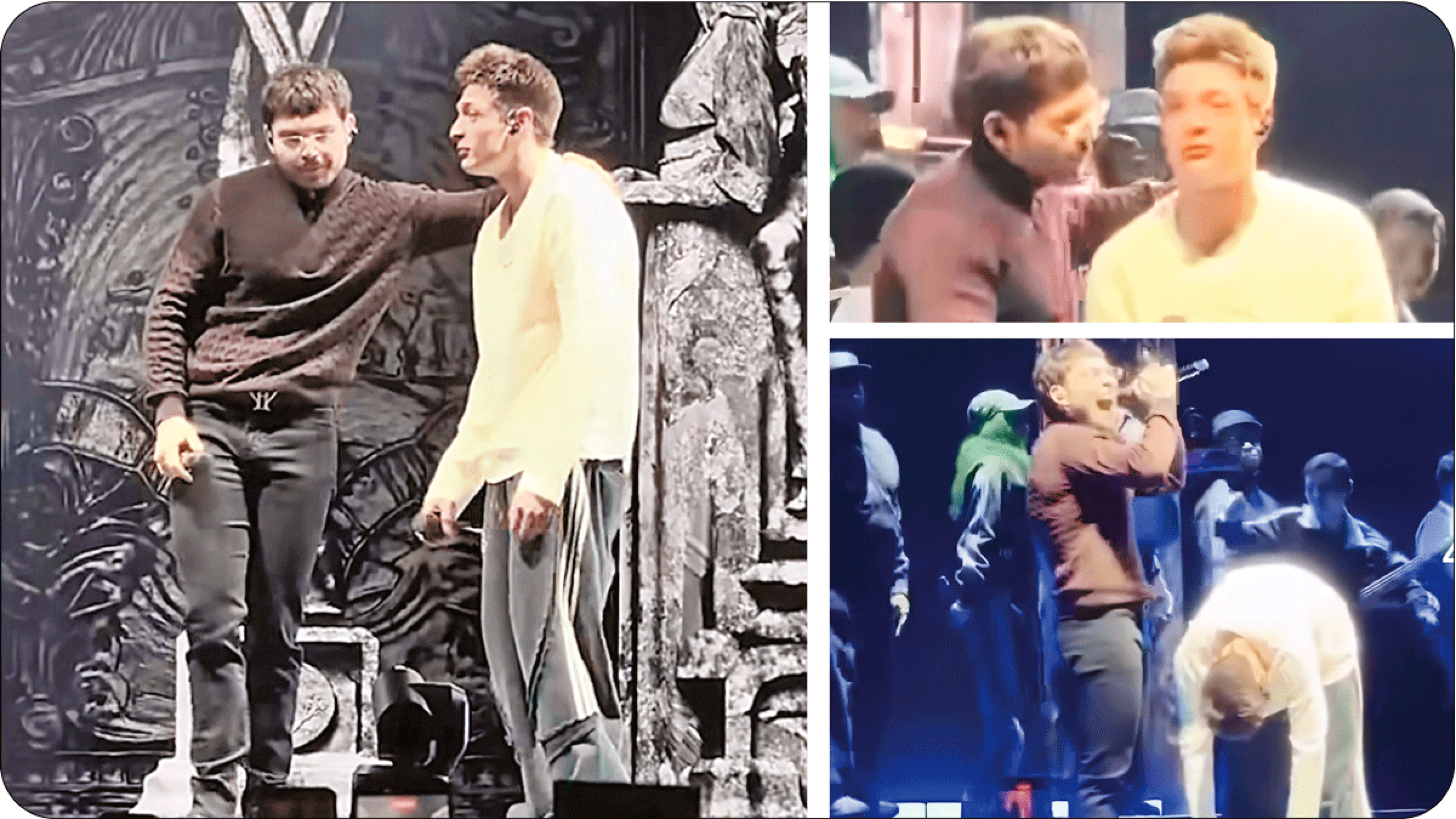 Comportamientos Peso Pluma