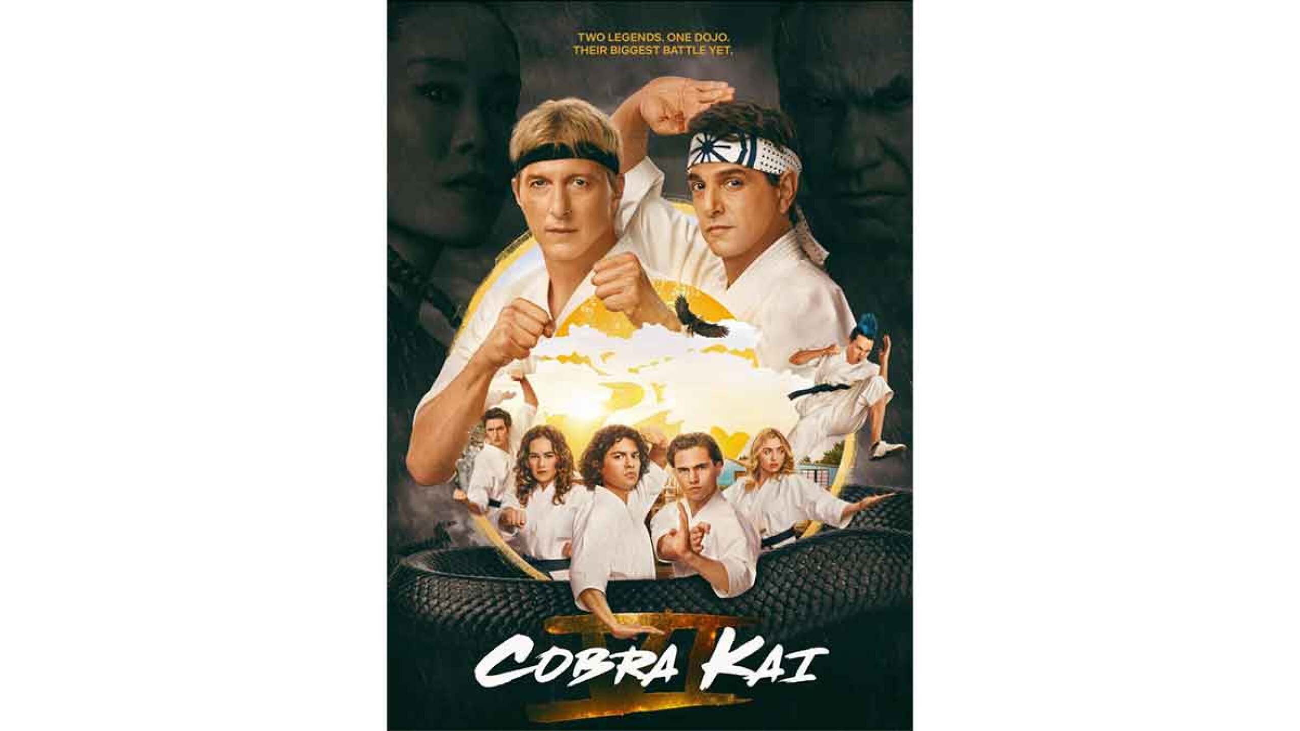 Series que llegan a su fin 2025