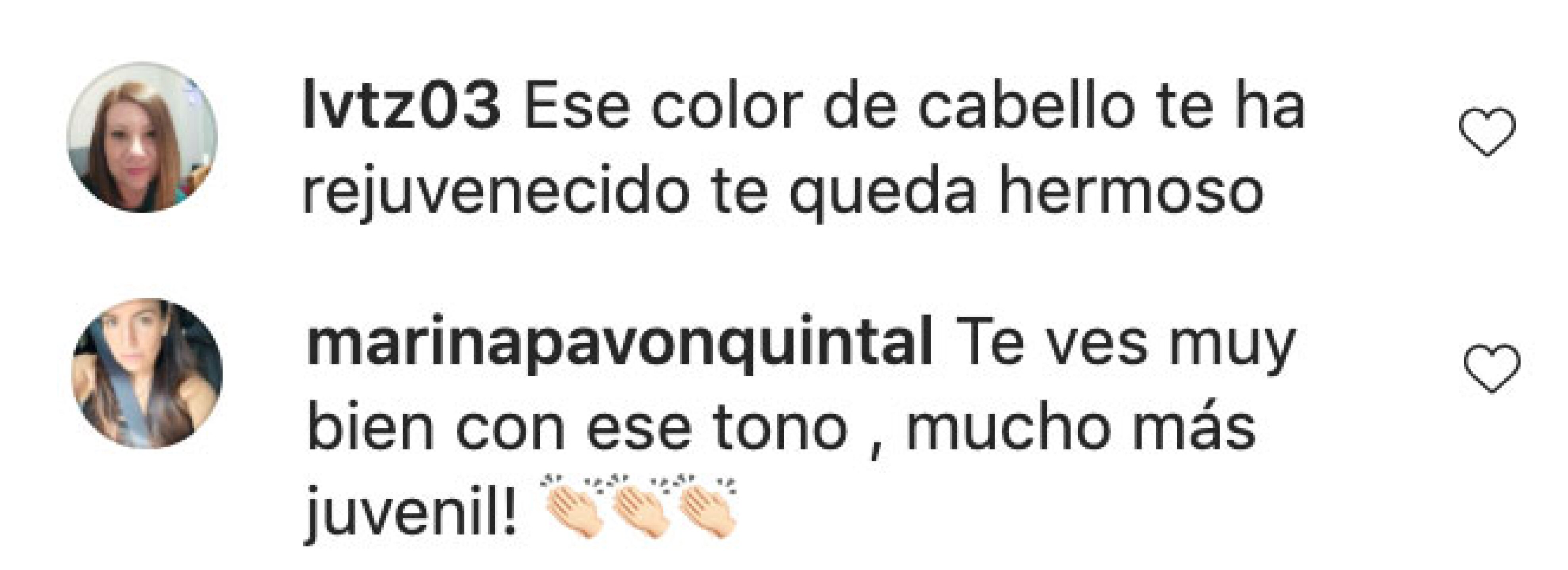 erika buenfil nuevo look castaña