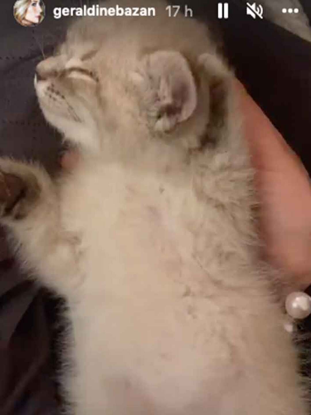 Mascota de Geraldine Bazán.