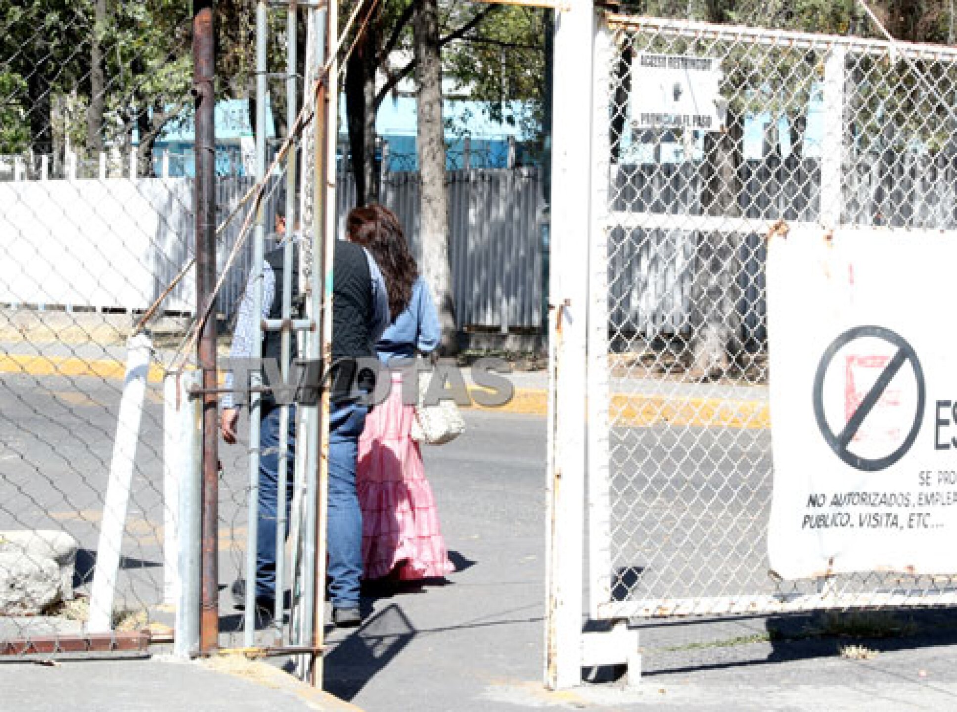 yadhira carrillo telenovelas regreso