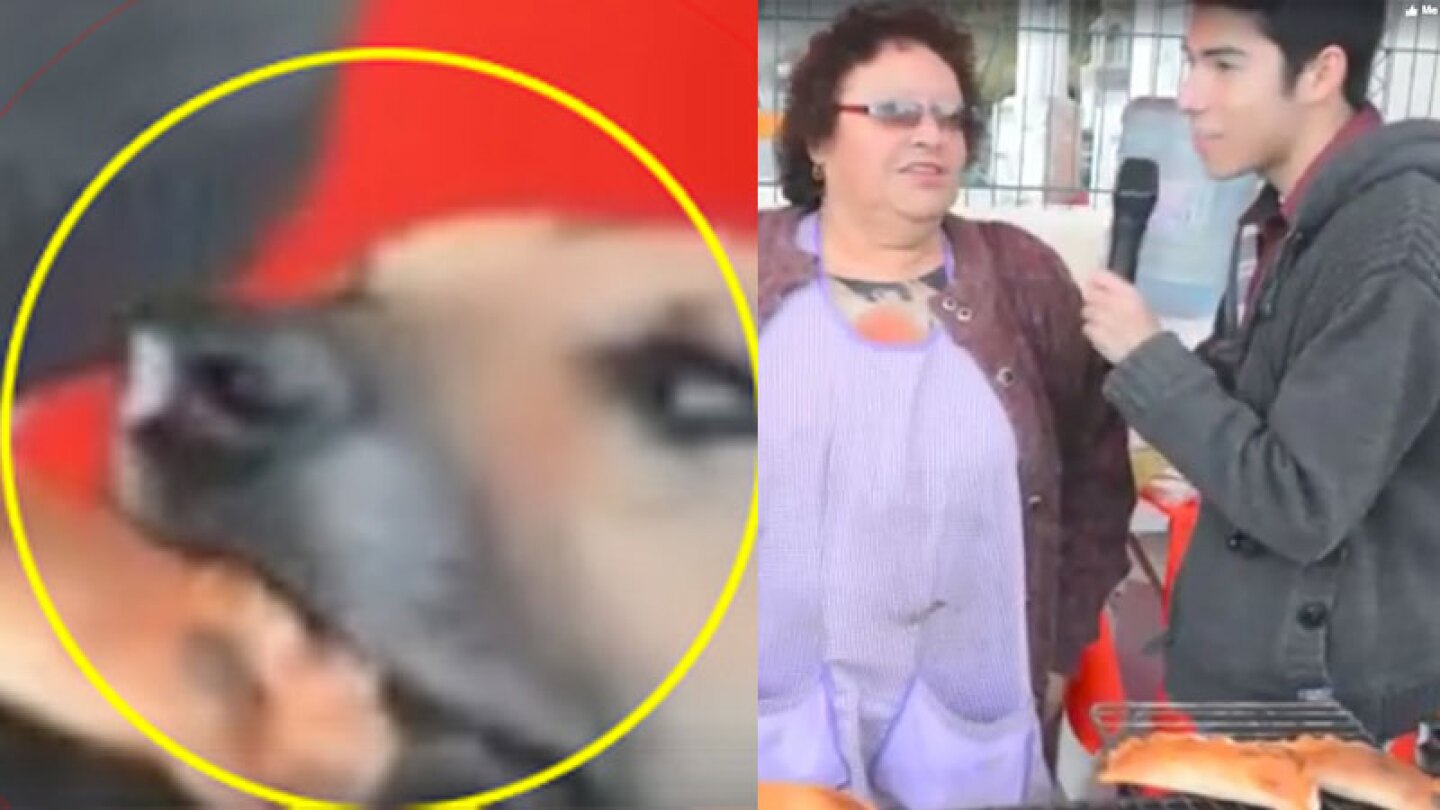 Conoce la historia del perro que robó una empanada en Chile