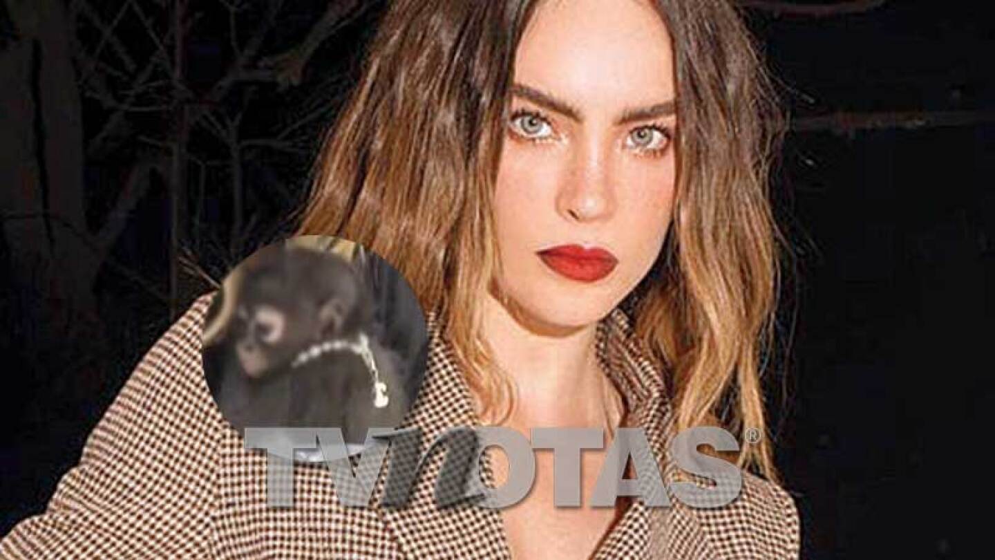 Belinda le compró un collar igualito al de ella a su mono