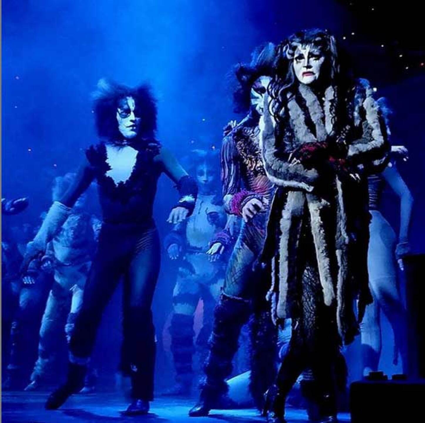 Después de 4 años, la actriz Rocío Banquells regresará a "Cats" para alternar funciones con Yuri.