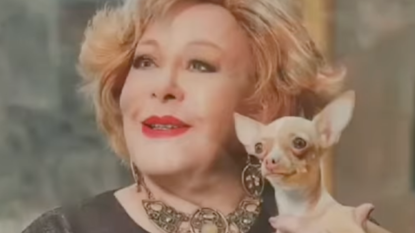 Silvia Pinal: la chihuahua de la Diva del Cine de Oro mexicano, llora al oler su ropa y conmueve a sus fans