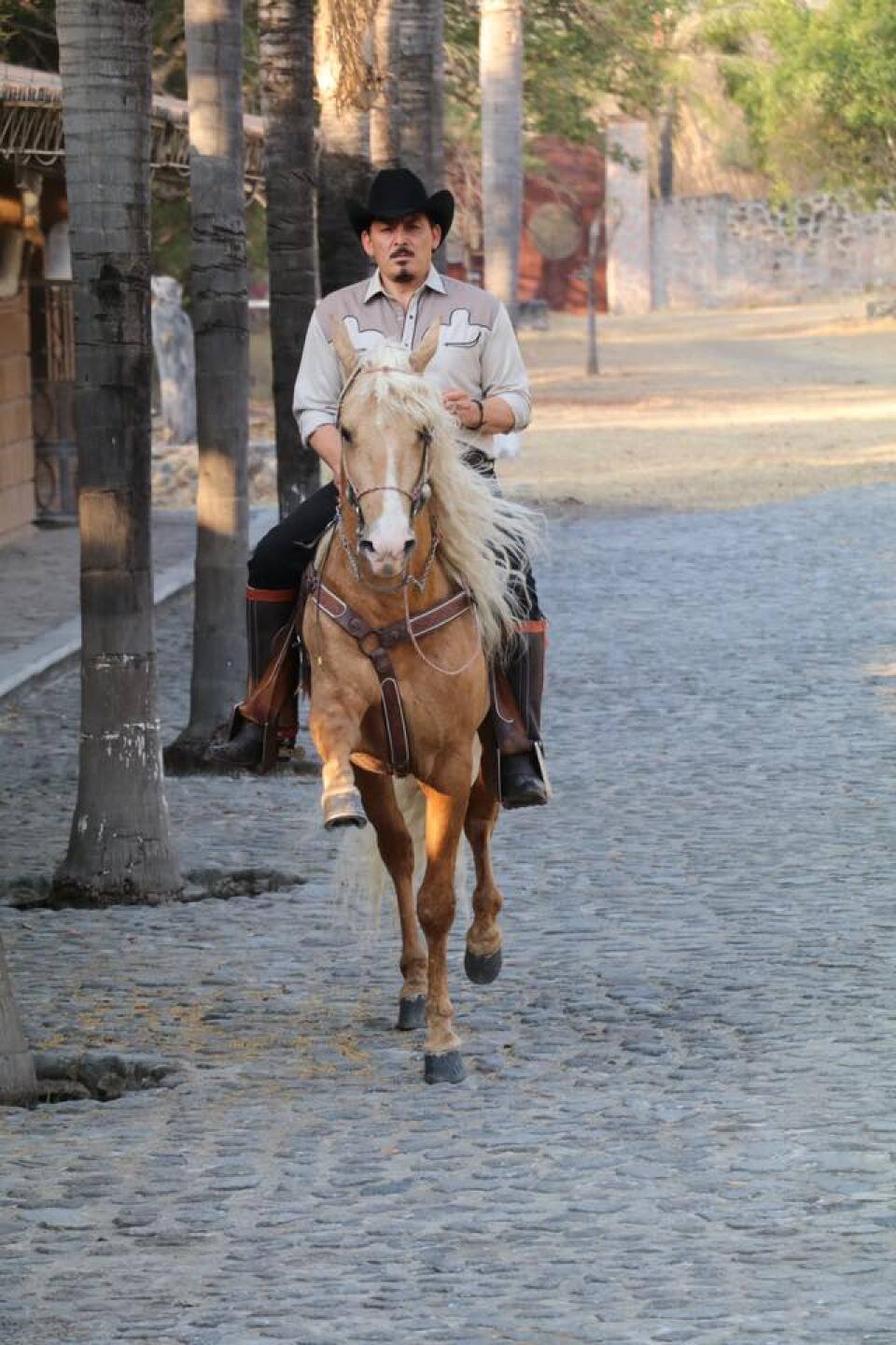 José Manuel Figueroa