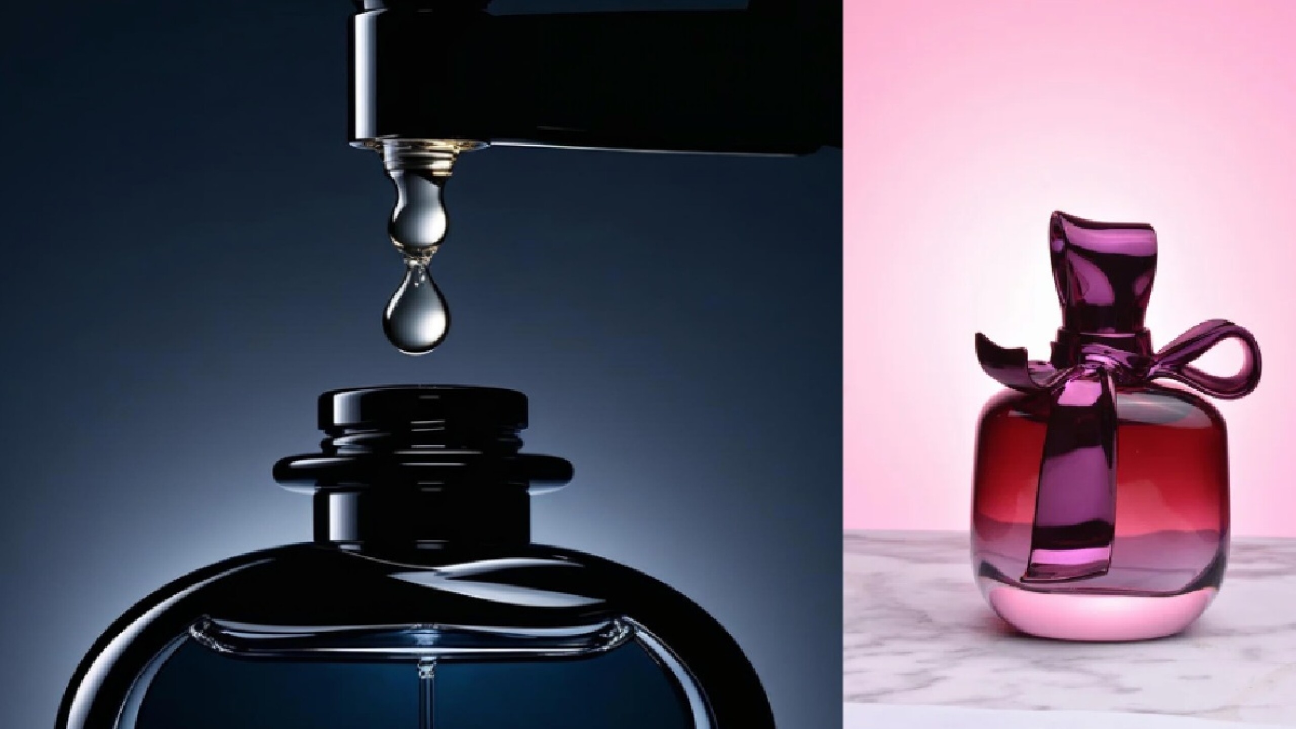 La democratización del perfume: ¡ya no es un privilegio!
