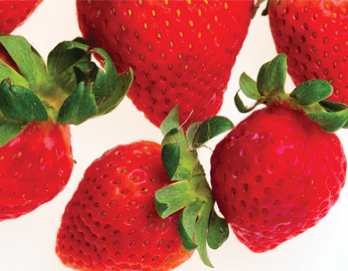 Fresas.