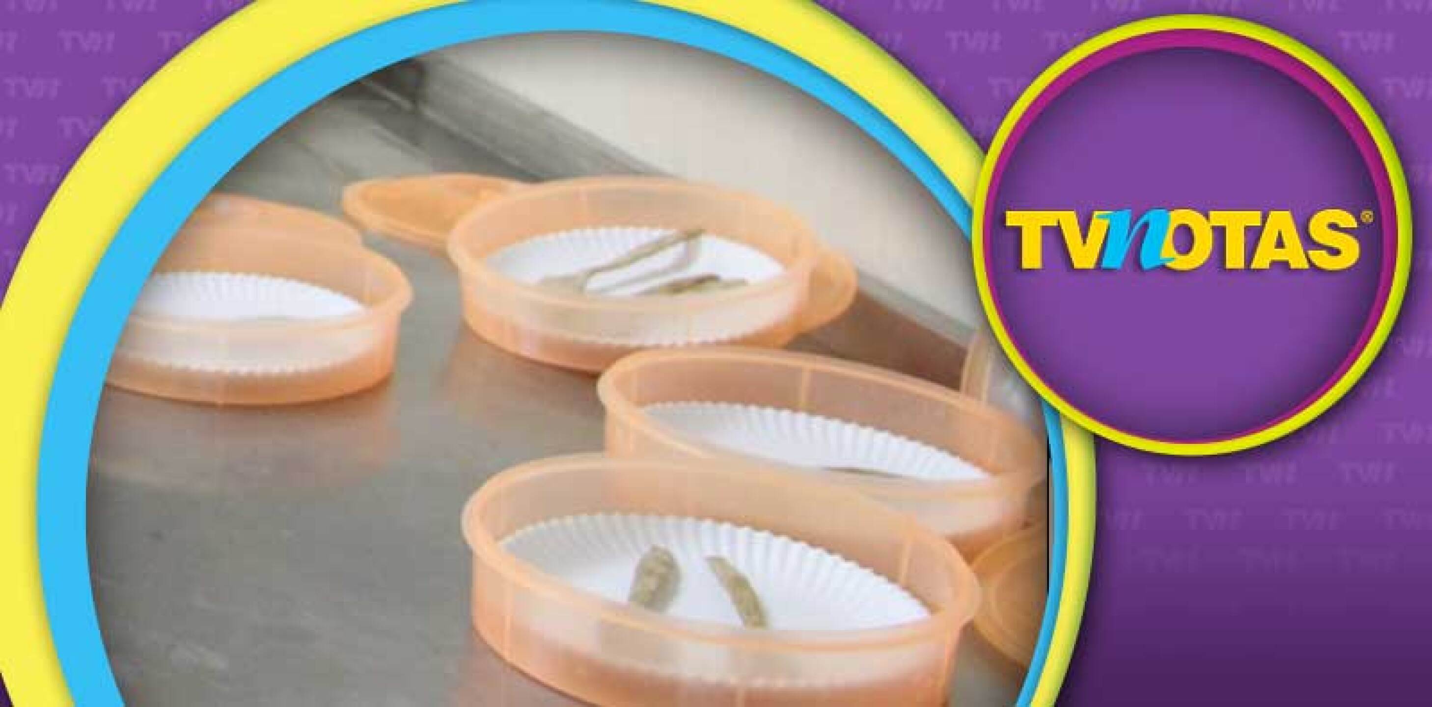 Quieren evitar la desnutrición infantil.