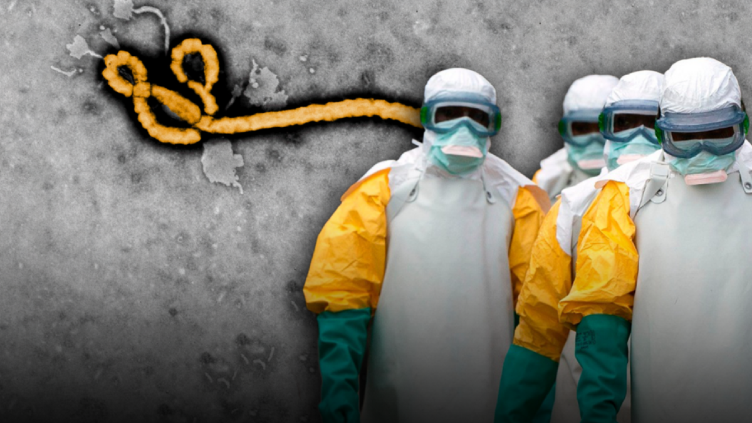¿Qué es el virus del ébola?