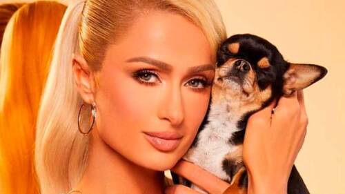 Paris Hilton pierde a su perro y contrata a detectives, médiums y drones para encontrarlo
