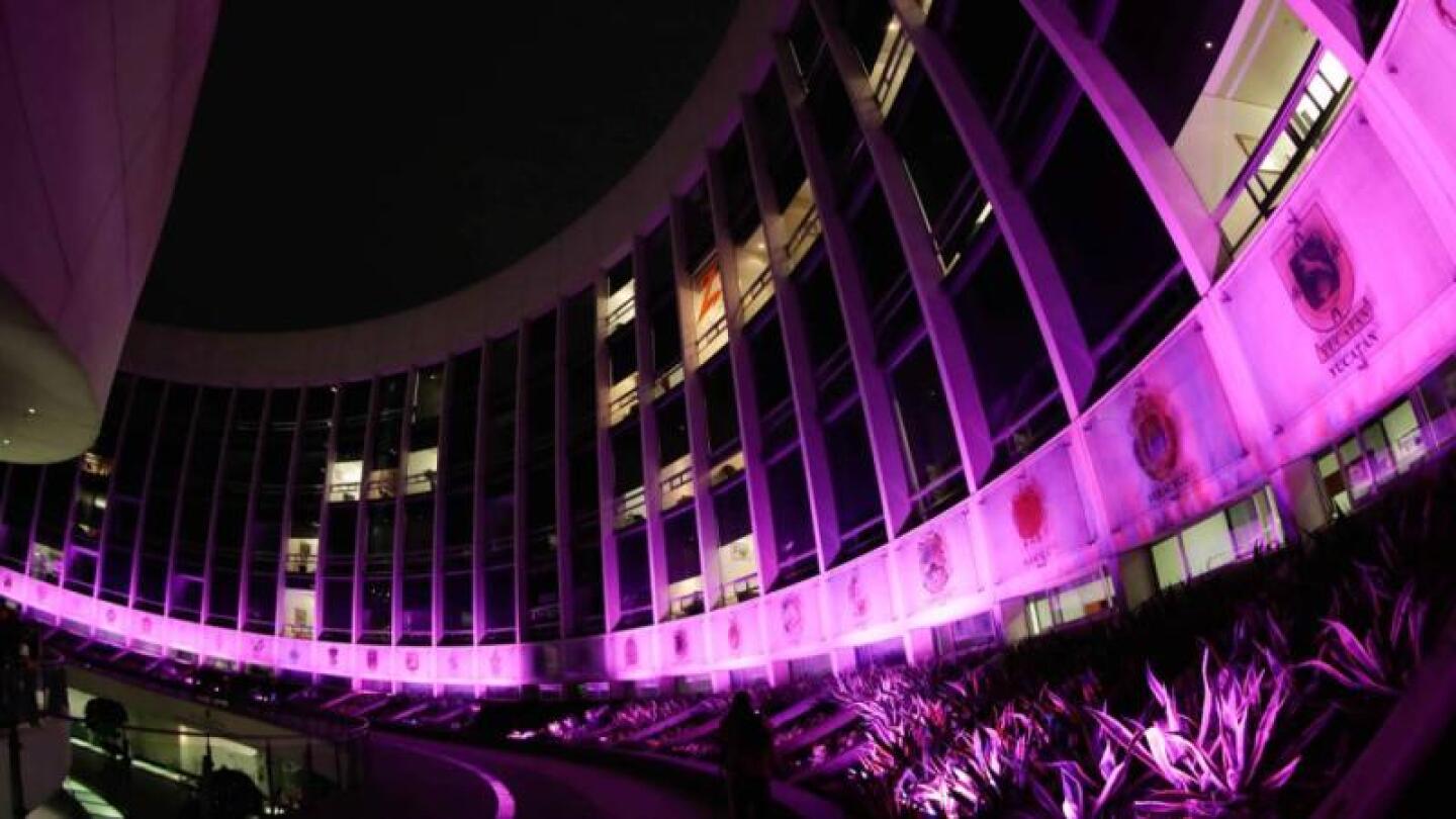 El Senado se iluminó de rosa y conmemoró la lucha contra el cáncer de mama