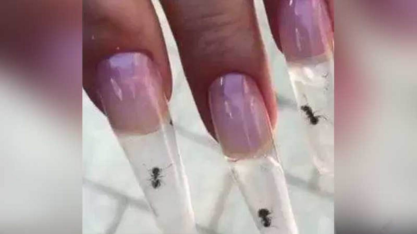 Acusan de maltrato animal a quienes realizan manicure con hormigas vivas.