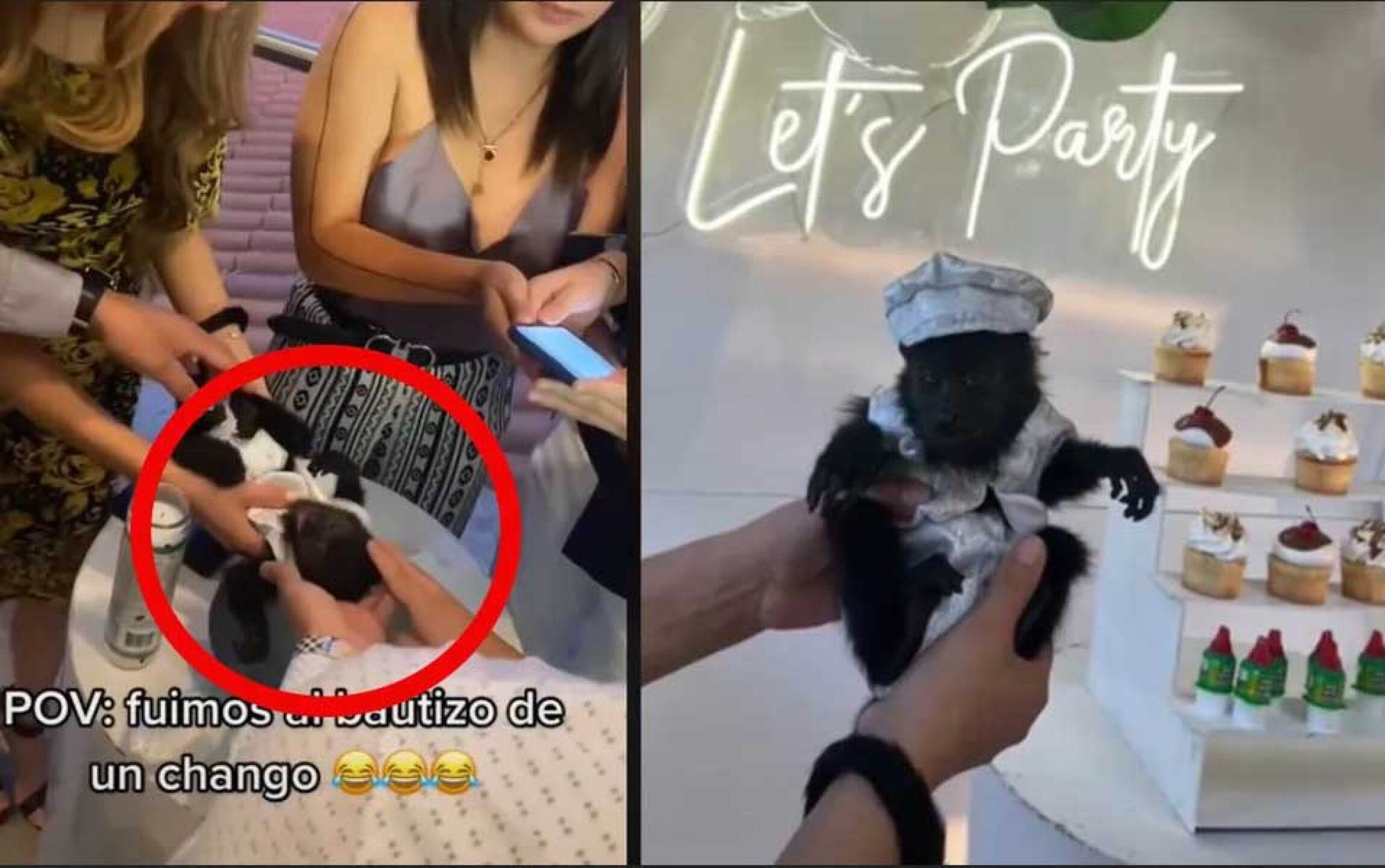 Changuito dividió comentarios